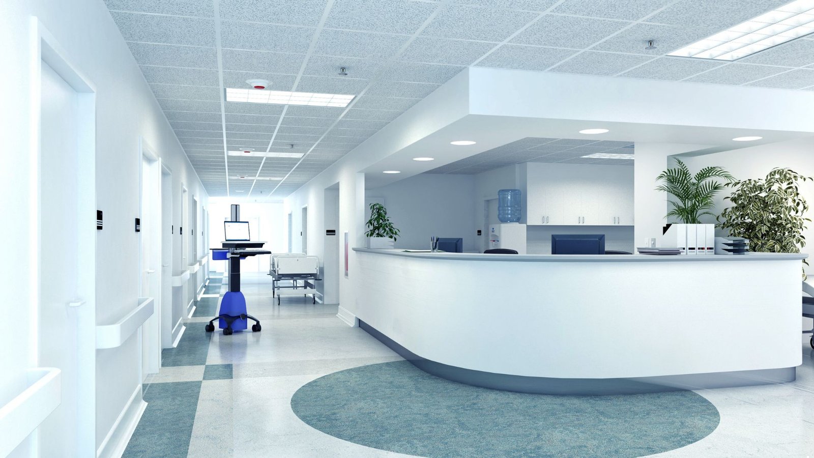 Public Hospitals Authority project by Randia Coakley